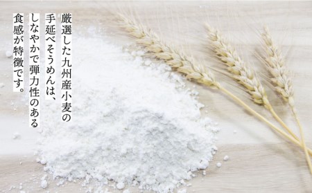 【九州産小麦粉使用】島原 手延べそうめん 3Kg 南島原 / のうち製麺[SAF016]