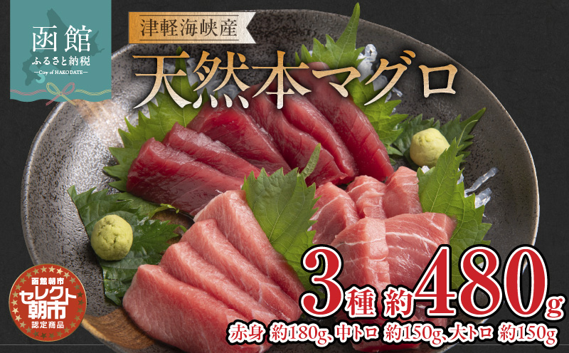 セレクト朝市「津軽海峡産天然本まぐろ」（赤身 約180g、中トロ 約150g、大トロ 約150g）_HD009-033