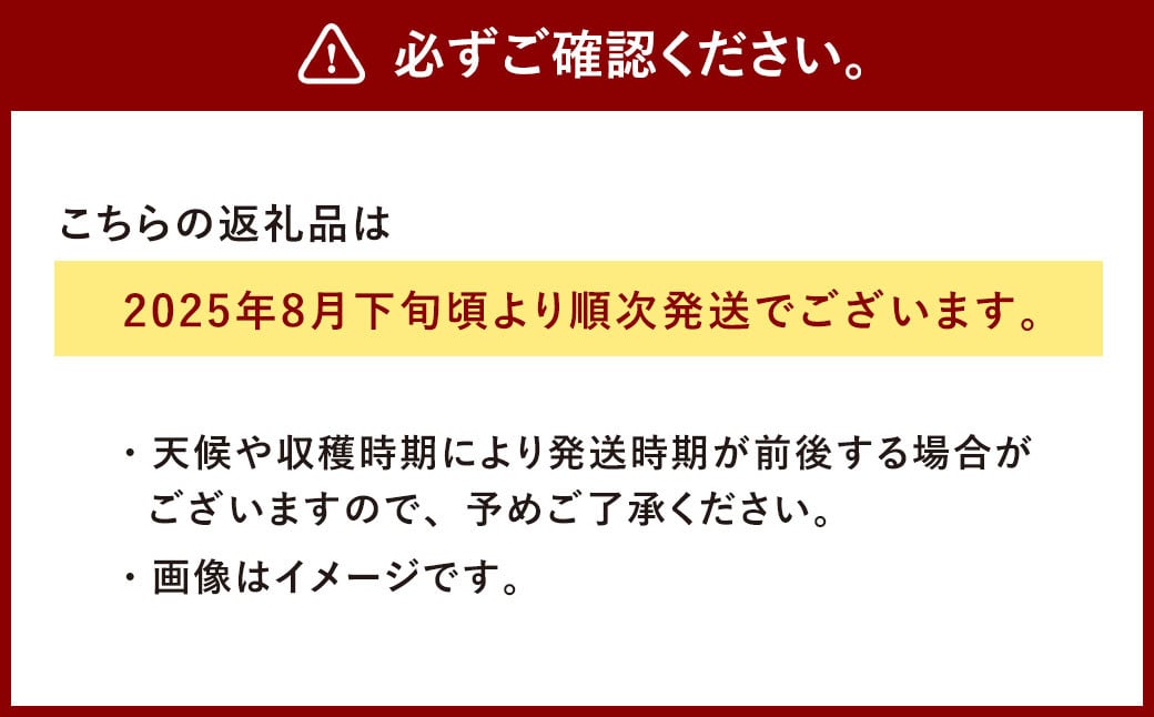 熊本県 相良村産 栗（品種おまかせ） 合計4kg