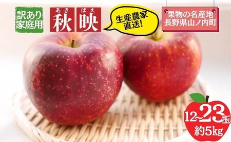 りんご 秋映 訳あり 家庭用 5kg 12～23玉 りんご