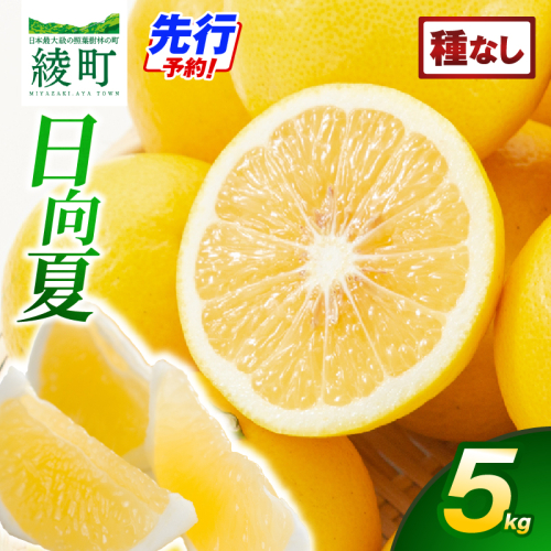 【先行予約】初春の旬「日向夏」種なし 5kg【JA綾町】_A0114-2411