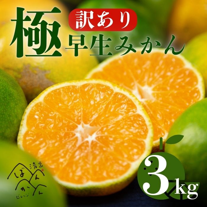 【訳あり】極早生みかん 3kg【発送時期：９月下旬～１１月下旬】2S-Lサイズ サイズミックス 愛媛みかん 温州みかん 一番みかん 柑橘 みかん 少量 お試し 試供品 5000円 清家ばんかんビレッジ