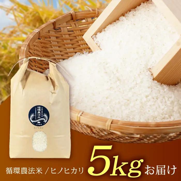 【先行予約】【R8年新米】循環農法米 ヒノヒカリ 白米 5kg / 米 こめ コメ おこめ お米 白米 ひのひかり / 諫早市 / 株式会社土井農場 [AHAD094] 新米 しんまい
