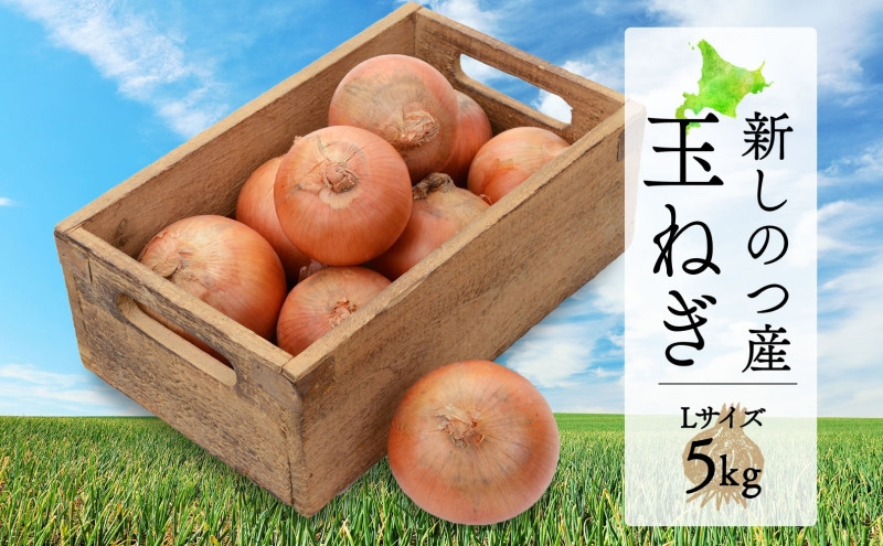 北海道 新しのつ産 たまねぎ Lサイズ 約5kg【玉ねぎ部会】　