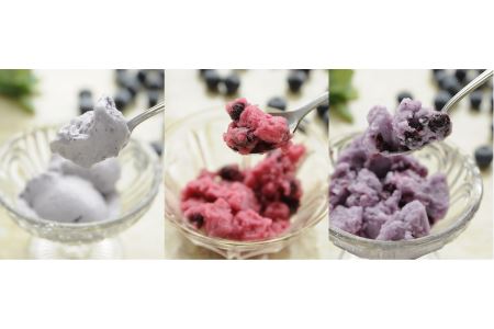 媛ベリー＆媛ベリーアイスクリームセットB(森のともだち農園玉川町) [VD03010]