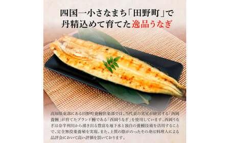 田野町産うなぎの白焼き(大) 1尾×3回 定期便 3ヶ月 定期コース 1尾あたり120～150g タレ付き 山椒付き うなぎ 鰻 ウナギ 白焼 無頭 おいしい 国産 個包装 お取り寄せ 冷凍 配送