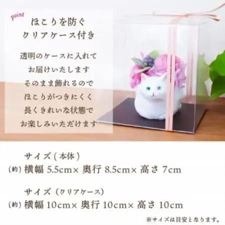 くつろぎ猫(白猫)プリザーブドフラワー ～ネコ好きの方への贈り物に～【1716000】