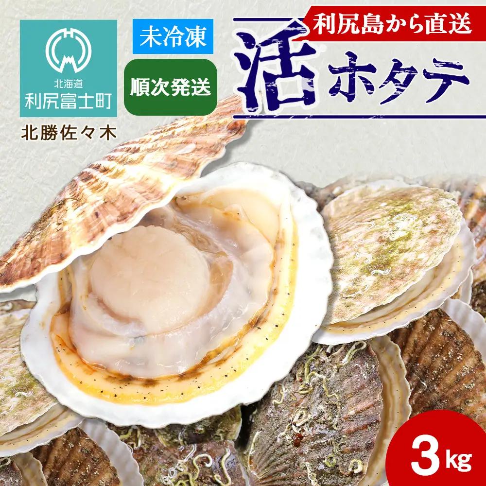 活ホタテ3kg！~2026年順次発送~北海道利尻島から直送！【北勝佐々木】