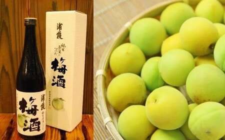 日本酒 「浦霞」3本 飲み比べ ( 純米酒 梅酒 ゆず酒 ) 720ml×3 BASE純米セット　4525763