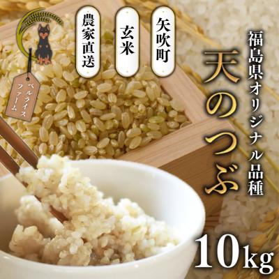ふるさと納税 矢吹町 【令和8年産米先行受付】玄米 農家直送 ベルライスファームの天のつぶ 10kg