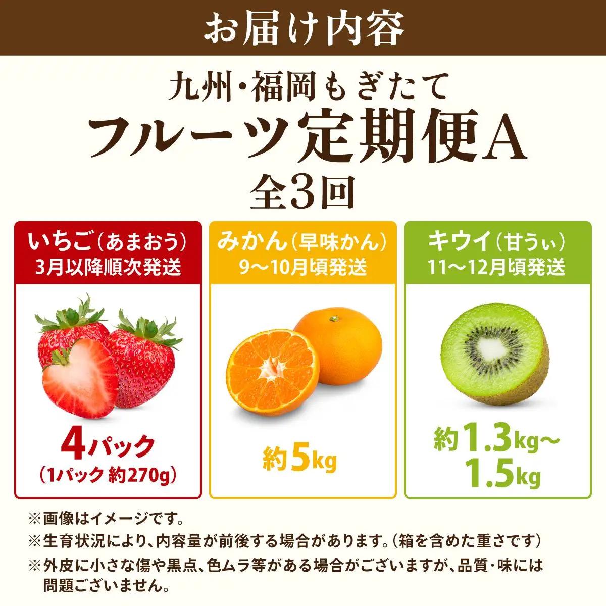寄附額改定↓ ＜定期便・全3回＞九州・福岡もぎたて フルーツ定期便