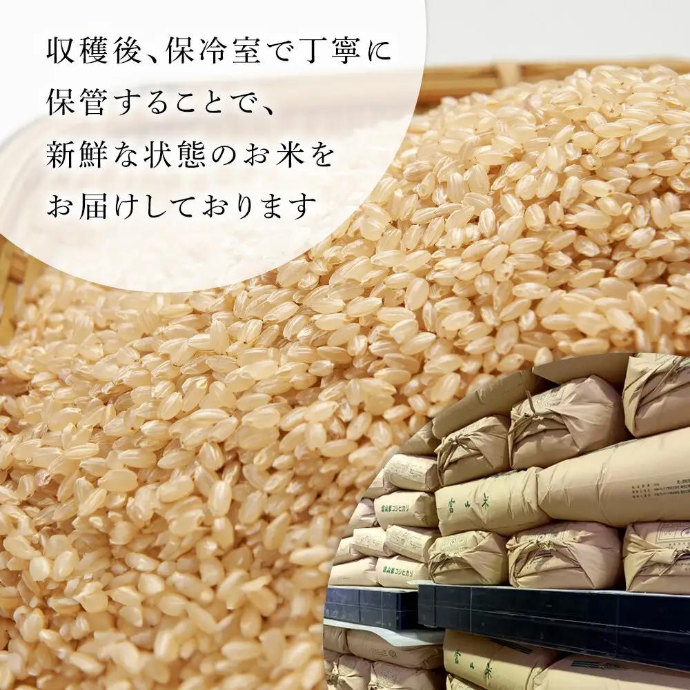 【令和8年産】みどりふぁーむの富富富（ふふふ）玄米 30kg