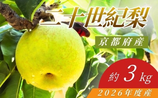 【先行予約】 2026年度産 京都府産 二十世紀梨 約3kg（7玉～10玉入り）