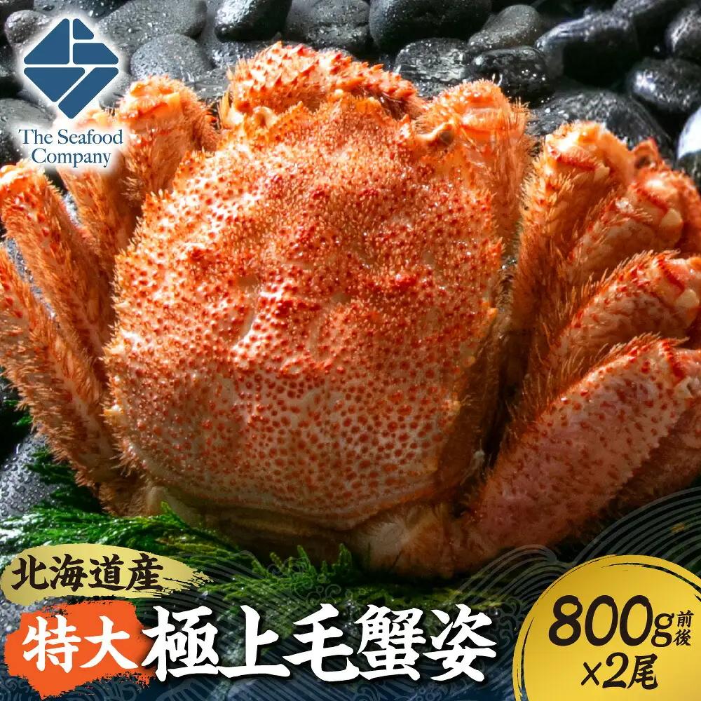 特大極上毛蟹姿　800g前後×2尾 北海道 毛蟹