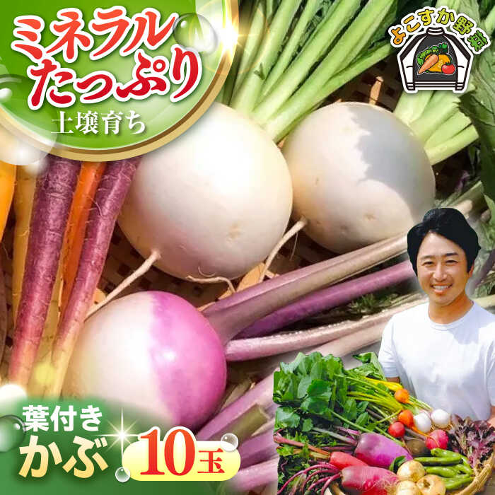 【ふるさと納税】葉付き かぶ 10玉 カブ 野菜 葉つきかぶ やさい 旬 産地直送 農園 神奈川 横須賀 【鈴也ファーム】[AKCE016] 5000円 5千円 5千