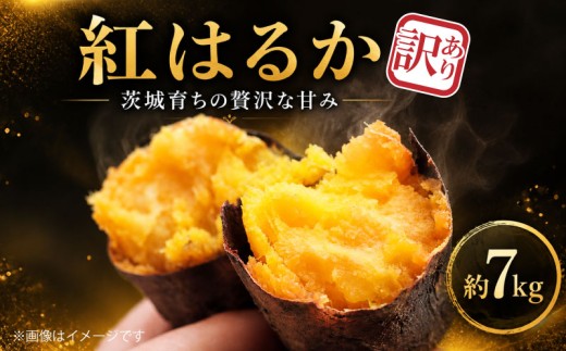 【先行予約】 訳あり 紅はるか 約 7kg さつまいも 茨城県産 土付き 無選別 国産 わけあり 訳アリ サツマイモ 生芋 いも ポテト 焼き芋 やきいも スイートポテト 先行 産地直送 土つき 10000円以下 1万円以下 茨城 茨城県 筑西 筑西市