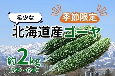 【季節限定】希少な北海道産ゴーヤ！奈井江町の寒暖差が育んだまろやかな苦み　約２kg（5～6本）