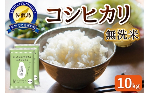 【無洗米 10kg】佐渡産コシヒカリ 無洗米 10kg（5kg×2袋）| 新潟県産コシヒカリ 新潟産コシヒカリ 新潟コシヒカリ 佐渡島産コシヒカリ 新潟県産こしひかり 佐渡産こしひかり 無洗米 むせんまい お米 米 こしひかり 白米 精米 ブランド米 おこめ コメ 10キロ 5キロ にいがた さど 新潟県 佐渡市