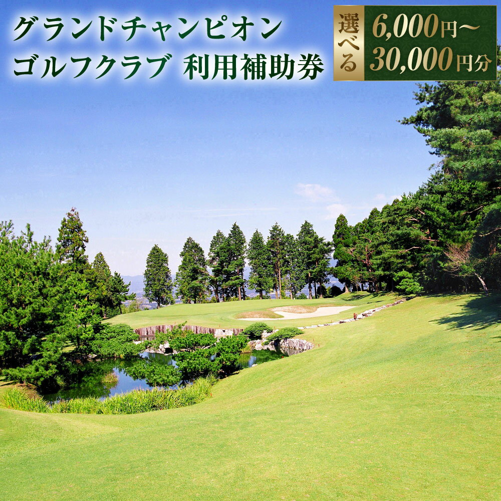 【ふるさと納税】グランドチャンピオンゴルフクラブ 利用補助券 6,000円～30,000円分 1000円分×6～30枚 ゴルフクラブ ゴルフプレー ゴルフ 練習 金券 利用券 補助券 九州 熊本 阿蘇 西原村 送料無料
