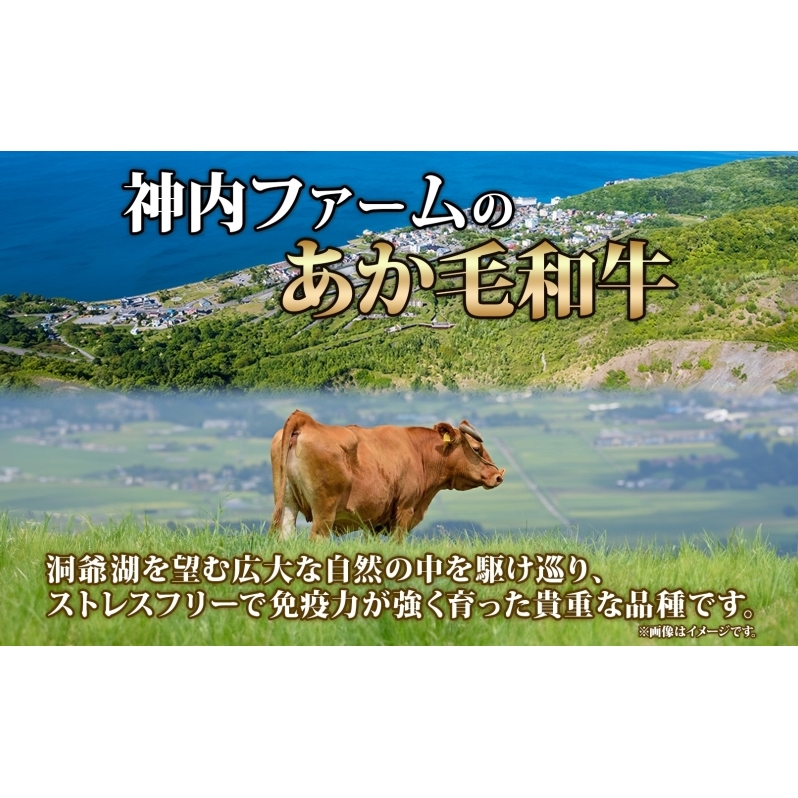 北海道産 あか牛 ハンバーグ用 ひき肉 計500g 小分け 和牛 お肉 牛肉 牛 挽肉 バーベキュー 肉汁 ジューシー ヘルシー コク 柔らかい 人気 ご褒美 ギフト お取り寄せ 産地直送 洞爺湖地場