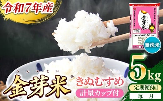 【定期便】BG無洗米・金芽米きぬむすめ 5kg×6ヵ月 （毎月）計量カップ付き【令和7年産 6ヶ月 計30kg 東洋ライス 健康 島根県 安来市】