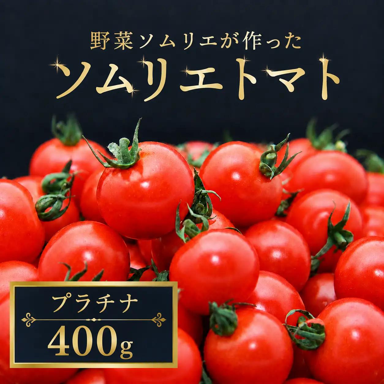 ミニトマト（プラチナ） 400g｜レッドアップ ※メール便でお届け