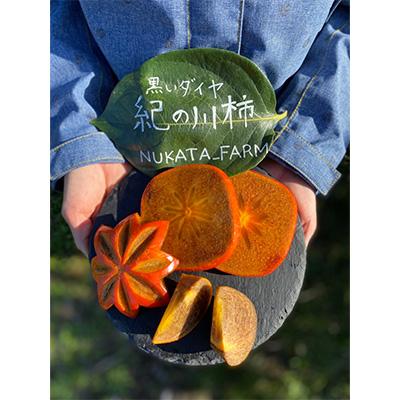 ふるさと納税 紀の川市 【紀州富士のMEGUMI】紀の川柿約2kg(黒いダイヤ)NUKATA_FARM