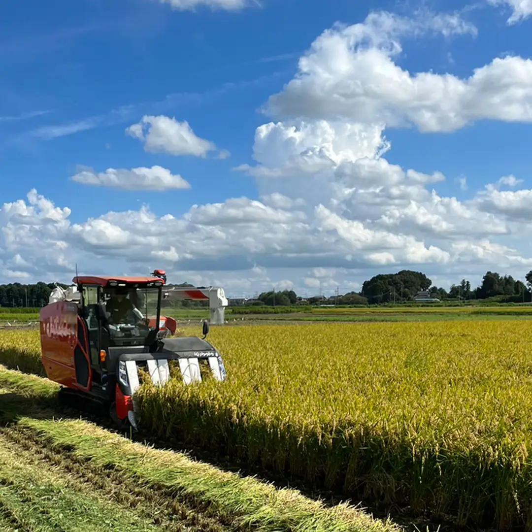 令和8年産 新米 いのちの壱 5kg 玄米 単一原料米 茨城県産