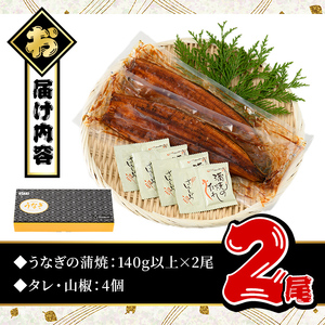 うなぎ 無投薬 鹿児島県産 ＜上＞(合計280g以上)  うなぎ 【西日本養鰻】A60-v01