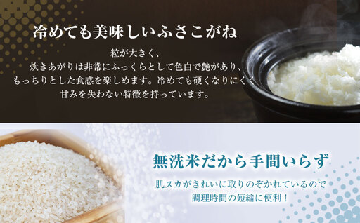 ≪6ヶ月定期便≫房の黄金米「ふさこがね」10kg × 6回 計60kg SMBR018