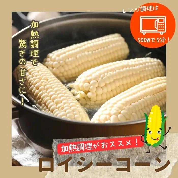 【2026年7月下旬頃発送】「ロイシーコーン」20本 約4kg【たかだ畑】とうもろこし スイートコーン 白い 野菜 産地直送 とうきび BBQ バーベキュー キャンプ 甘い 北海道 比布町 ぴっぷ 1