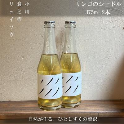 ふるさと納税 小川村 リンゴのシードル2本セット*269