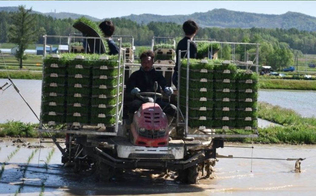 ゆめぴりか （精白米） 10kg×2袋 20kg