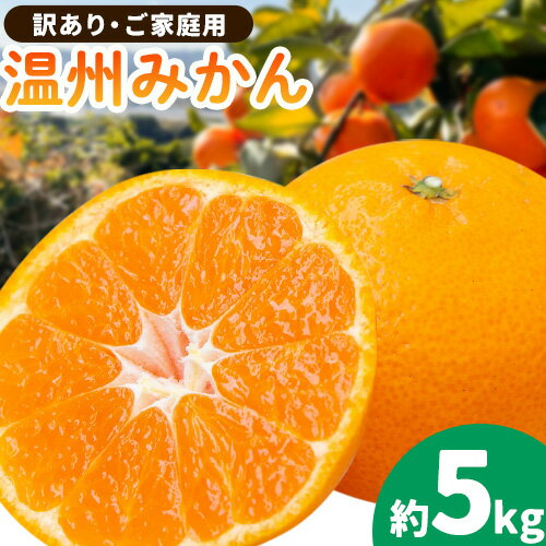 【ふるさと納税】ご家庭用 温州みかん(入野みかん) 約5kg《2025年11月下旬-2月上旬頃出荷》竹本農園 和歌山県 日高川町 旬 新鮮 果物 柑橘 フルーツ 国産 送料無料 ミカン みかん