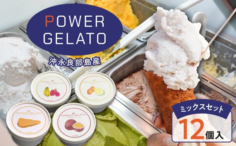 
            POWER GELATO 沖永良部島産（ミックスセット12個入り）　W066-003-02
          