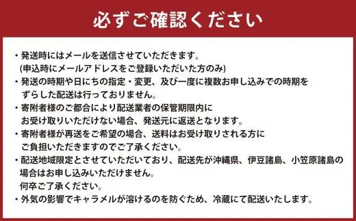 花畑牧場 生キャラメル 夕張メロン（常温） 64g×6セット キャラメル お菓子 おやつ メロン [002-0091]