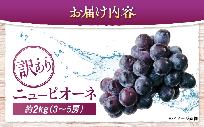ぶどう ブドウ 葡萄 フルーツ 果物 デザート ピオーネ 大粒 甘い 2kg わけあり 家庭用 自宅用 産地直送 広島県 三次市