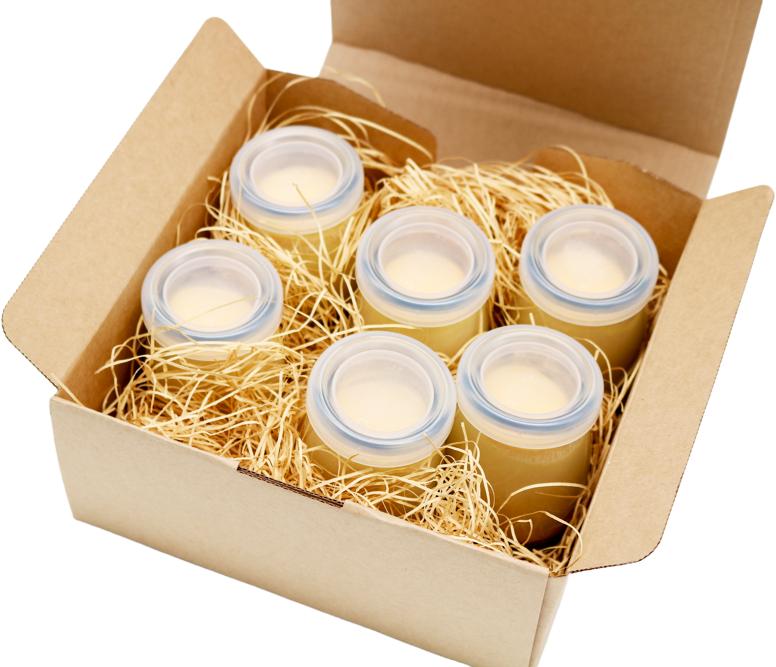 濃厚とろとろプリン 1級建築大工技能士 が作る プリン 6個セット プディング スイーツ スィーツ 希少糖 アルロース 贈り物 おやつ お土産 土産 手土産 プレゼント ティータイム コーヒー 紅茶 