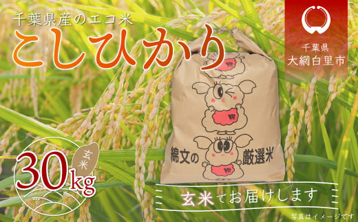 
【新米】令和6年産 千葉県産エコ米「コシヒカリ」玄米30kg（30kg×1袋） ふるさと納税 玄米 30kg 千葉県産 大網白里市 コシヒカリ エコ米 米 こめ 送料無料
