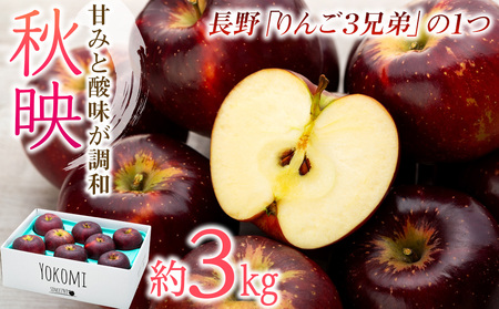 【2026年/令和8年度発送分！】信州のりんご 秋映 約3kg りんご リンゴ 林檎 長野 フルーツ 果物 信州産 長野県産 特産 産地直送 おすすめ