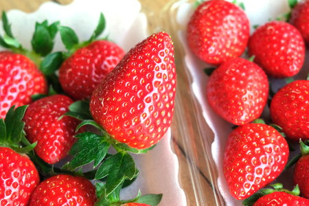 [1月8日から3月3日] いちご狩り体験 子供1名様 奈良のブランド (あすかルビー)｜イチゴ農園 果物 フルーツ 親子 体験チケット いちご狩り農園 奈良県 [3052]