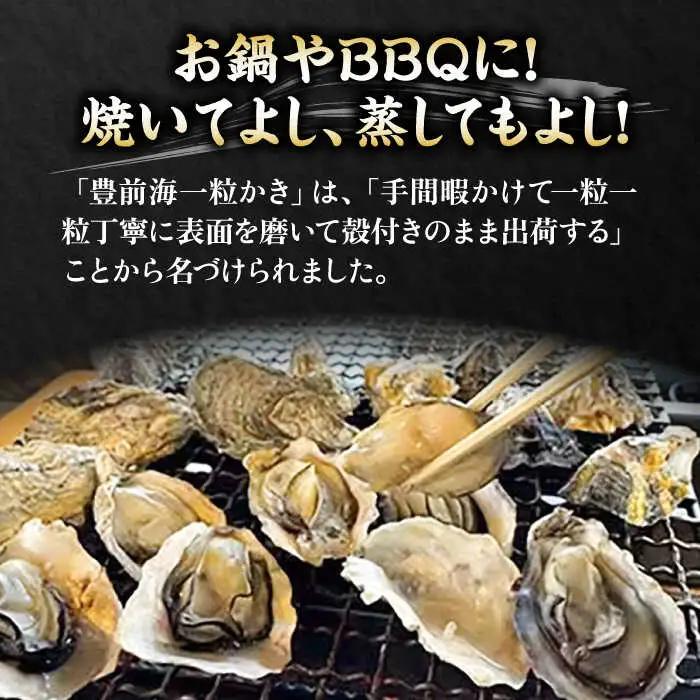 【先行予約】豊前海一粒牡蠣 3kg VAG007 牡蠣 かき