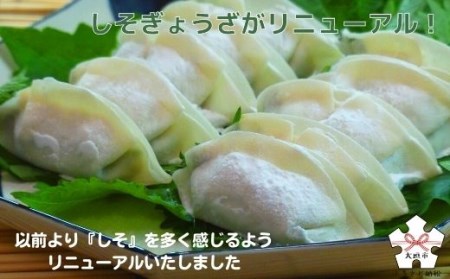 生餃子専門店「新家」の生餃子60個としそ餃子30個セット