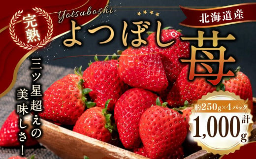 
北海道産 完熟よつぼし苺(約250g×4パック)
