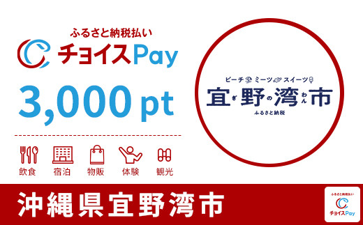 
            宜野湾市チョイスPay 3,000pt【会員限定のお礼の品】
          