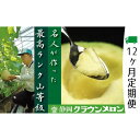 【ふるさと納税】クラウンメロン　名人×1玉【12ヶ月定期便】【配送不可：離島】　定期便・果物類・メロン青肉　お届け：※寄附金のご入金確認の翌月以降、初回発送から12ヶ月連続でお届けします。