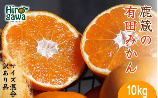 鹿蔵の 有田 みかん 訳あり 10kg 光センサー 選果 / 温州みかん 有田みかん 甘い 家庭用 和歌山 柑橘 ※11月より順次発送予定 ※北海道・沖縄・離島への配送不可【ikd004-cm-10-nov-PR】