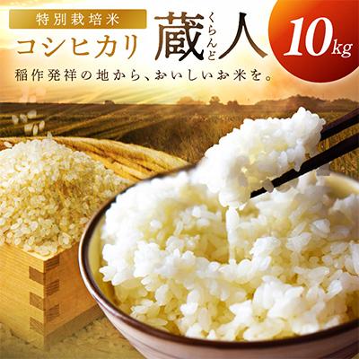 ふるさと納税 京丹後市 【農家直送】令和8年産 特別栽培米コシヒカリ 蔵人(くらんど) 精米10kg