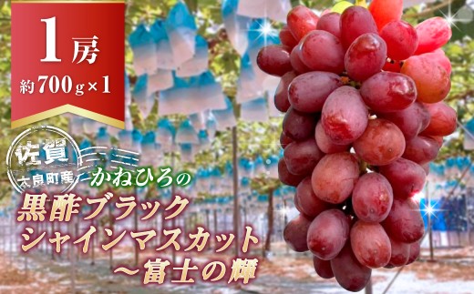 【贈答】かねひろの黒酢ブラックシャインマスカット～富士の輝き 1房 700g 佐賀県 太良町 NC26x2 【2026年9月発送予定】