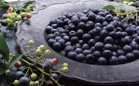【収穫日に即日出荷】生ブルーベリー ｢あいあいの雫｣ 800g (200g×4パック) 小分けで嬉しい 【堀内フルーツファーム】ブルーベリー 収穫後即日配送ブルーベリー 農家直送ブルーベリー 産地直送
